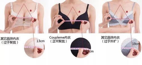 胸部对胸部,探寻女性胸部健康与美学