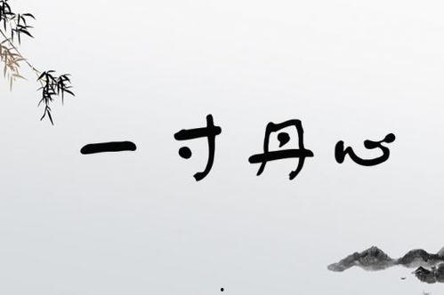 一寸丹心,忠诚卫士的英勇事迹