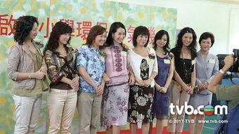 师奶兵团,平凡妈妈们的逆袭传奇