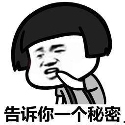 让我告诉你,探索知识传递的艺术