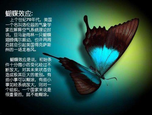 恶的回旋镖（恶的蝴蝶效应）,蝴蝶效应下的善恶循环解析